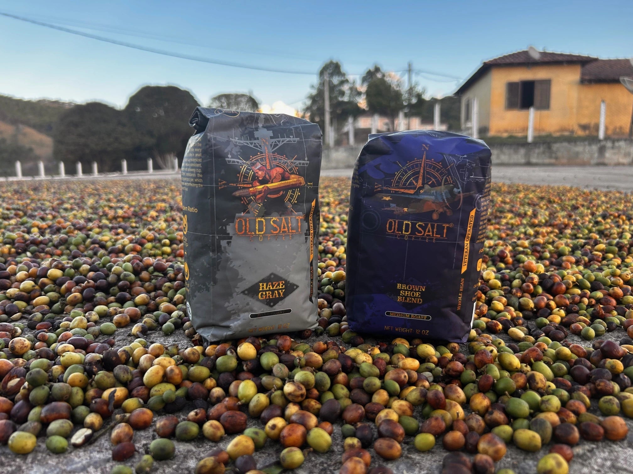 Colombian Coffee Bean Farm - Old Salt Coffee